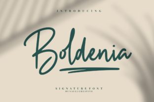 Boldenia: A Light Script Typeface for Modern Editorial Design