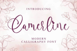Camerline: The Script Font That Elevates Your Campaigns
