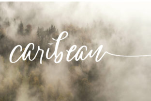 Caribean Font Review: A Raw Script for Digital Design