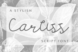 Carllis: A Handwritten Script Font for Modern Web Design