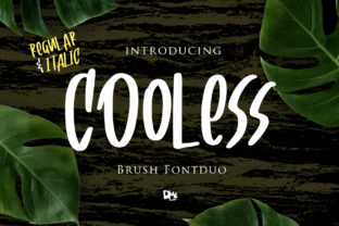 Cooless Font Review: A Funky Script for Bold Branding