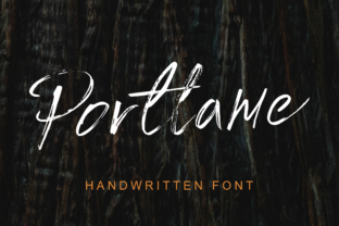 Portlame Font Review: A Quirky Script for Social Campaigns